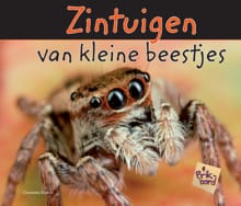 Zintuigen van kleine beestjes - Charlotte Guillain