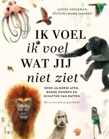 Ik voel ik voel wat jij niet ziet - Lotte Stegeman