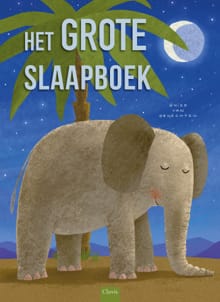 Het grote slaapboek - Guido Van Genechten