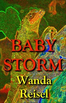 Baby Storm - Wanda Reisel