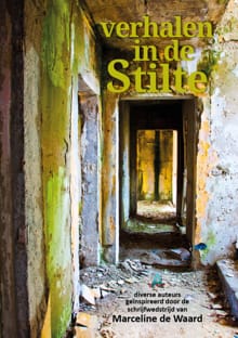 Verhalen in de stilte - Marceline de Waard