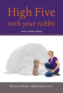 High five with your rabbit - Bernice Muntz