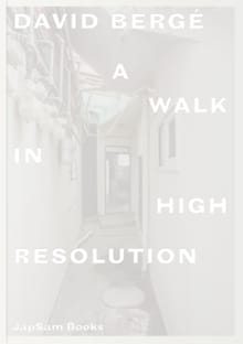 David Bergé. A Walk in High Resolution - David Bergé, Marcelo Rezende, ...