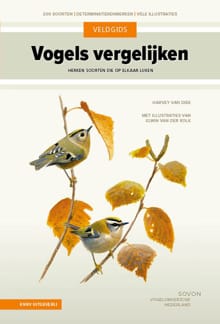 Veldgids vogels vergelijken - Harvey van Diek