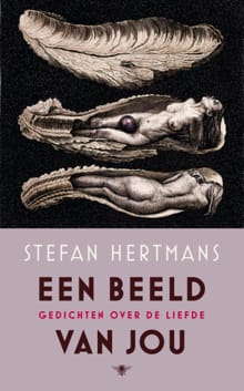 Een beeld van jou - Stefan Hertmans