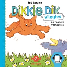 Vliegles - Jet Boeke