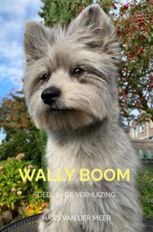 Wally Boom - Hans van der Meer