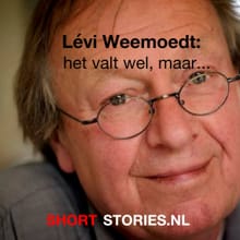 Het valt wel maar... - Lévi Weemoedt