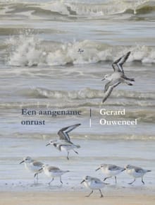 Een aangename onrust - Gerard Ouweneel