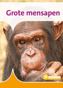 Grote Mensapen - Geert-Jan Roebers