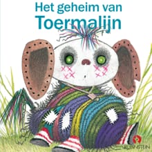 Geheim van Toermalijn - Mies Bouhuys