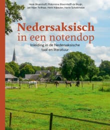 Nedersaksisch in een notendop - Henk Bloemhoff, Philomène Bloemhoff-de Bruijn, ...
