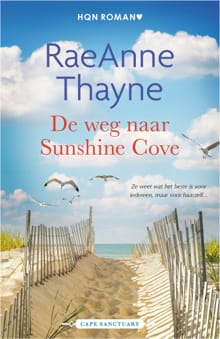 De weg naar Sunshine Cove - RaeAnne Thayne