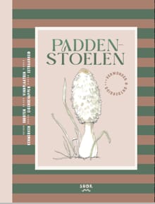Paddenstoelen - Gerard Janssen