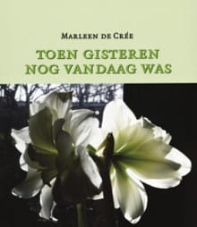 Toen gisteren nog vandaag was - Marleen de Cree