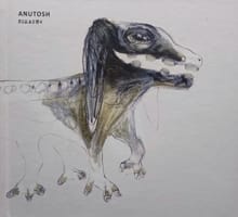 Anutosh - Schaduw - Mischa Andriessen