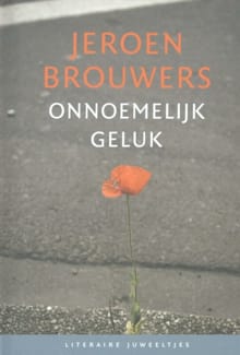 Onnoemelijk geluk - Jeroen Brouwers