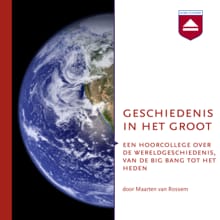 Geschiedenis in het groot - Maarten van Rossem