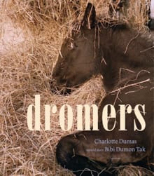 Dromers - Bibi Dumon Tak, Charlotte Dumas