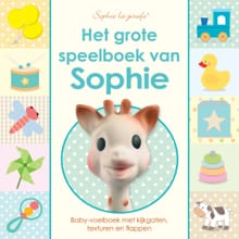 Het grote speelboek van Sophie - Dawn Sirett