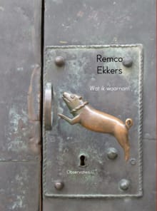 Wat ik waarnam - Remco Ekkers