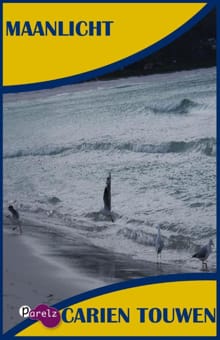 Maanlicht - Carien Touwen