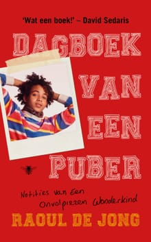 Dagboek van een puber - Raoul de Jong