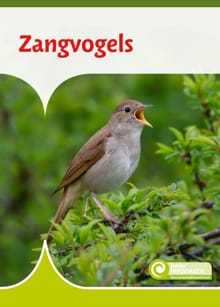 Zangvogels - Geert-Jan Roebers