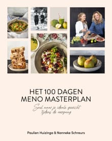 Het 100 dagen meno masterplan - Paulien Huizinga, Nanneke Schreurs