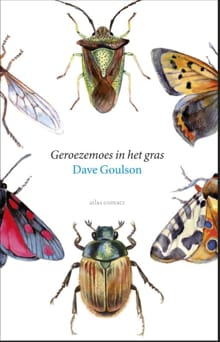 Geroezemoes in het gras - Dave Goulson