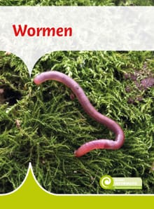 Wormen - Geert-Jan Roebers