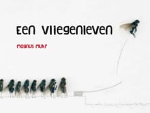 Een vliegenleven - Magnus Muhr