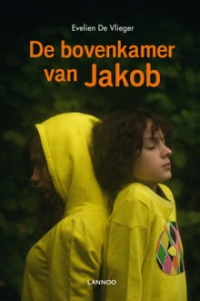 De bovenkamer van Jakob - Evelien de Vlieger, Evelien de Vlieger