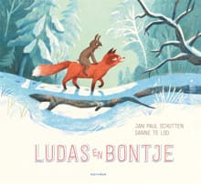 Ludas en Bontje - Jan Paul Schutten