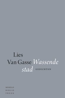 Wassende stad - Lies van Gasse