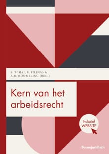 Kern van het arbeidsrecht - A.R. Houweling, S. Tchai, ...