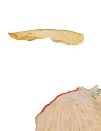 Until the Colours Sing - Paul de Moor