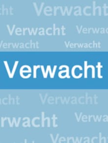 Een derde weg ter bevordering van burgerinitiatieven? - Ira Helsloot, Gaby van Melick