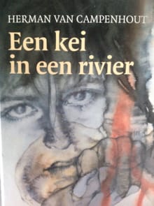 Een kei in een rivier - Herman van Campenhout, Herman Van Campenhout, ...