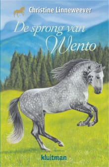 De sprong van Wento - Christine Linneweever