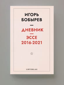 Дневник эссе 2016-2021 - Игорь Бобырев