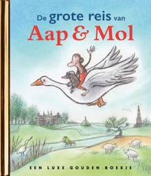 De grote reis van Aap en Mol - Gitte Spee