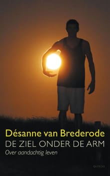 De ziel onder de arm - Désanne van Brederode