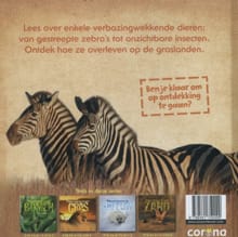 Verscholen in het gras - BARBARA TAYLOR