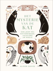 Het mysterie van de kat - Alison Davies