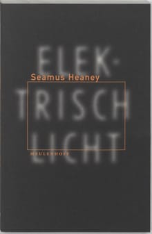 Elektrisch licht - S. Heaney, Seamus Heaney