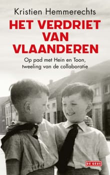Het verdriet van Vlaanderen - Kristien Hemmerechts