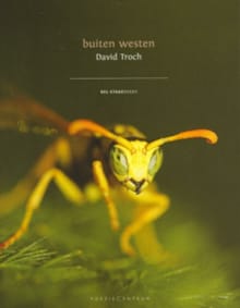 Buiten westen - David Troch