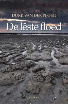 De lêste floed - Durk van der Ploeg