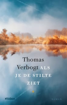 Als je de stilte ziet - Thomas Verbogt